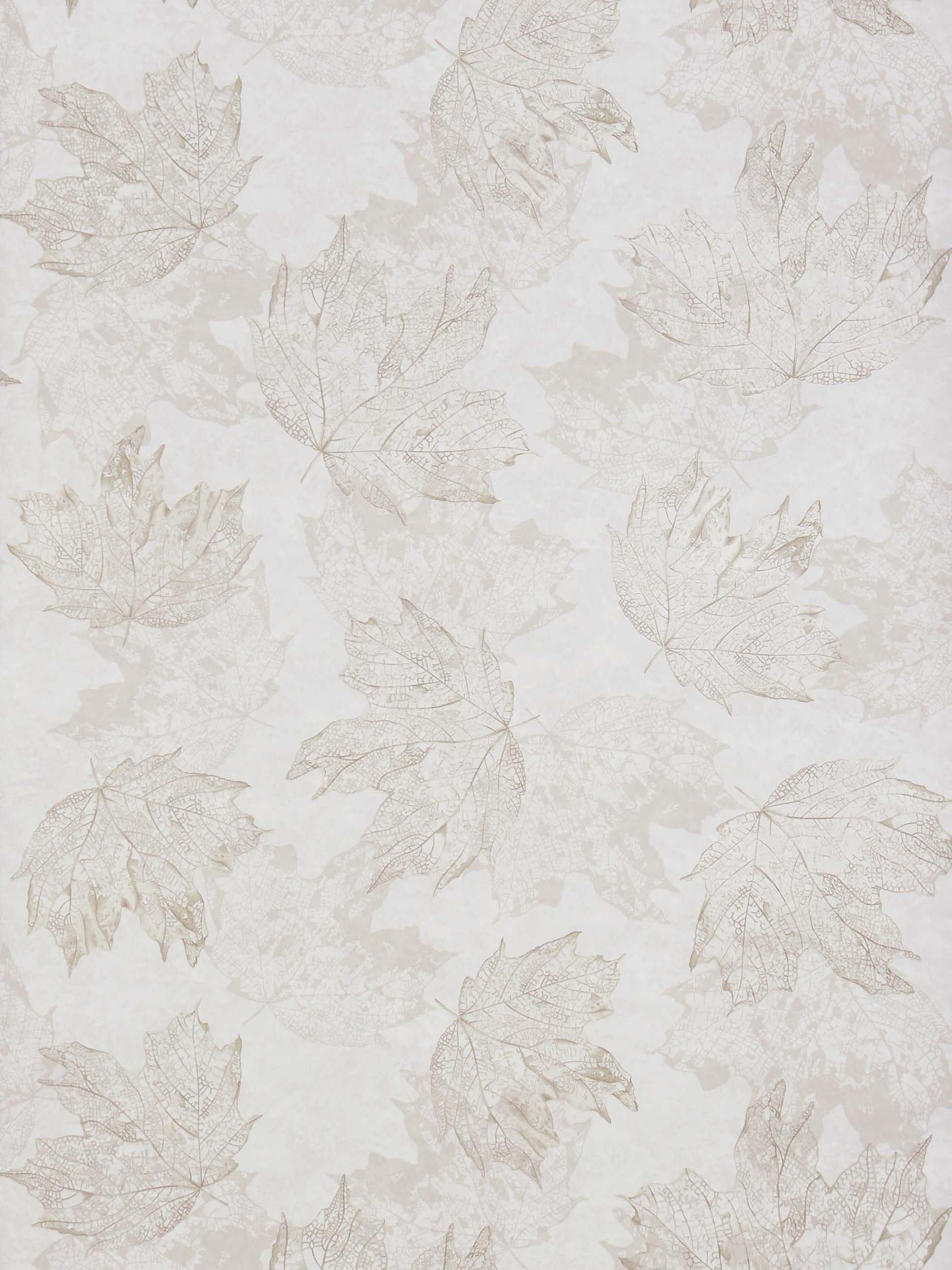 Osborne & Little Sycamore wallpaper 10m x 53cm, UK version