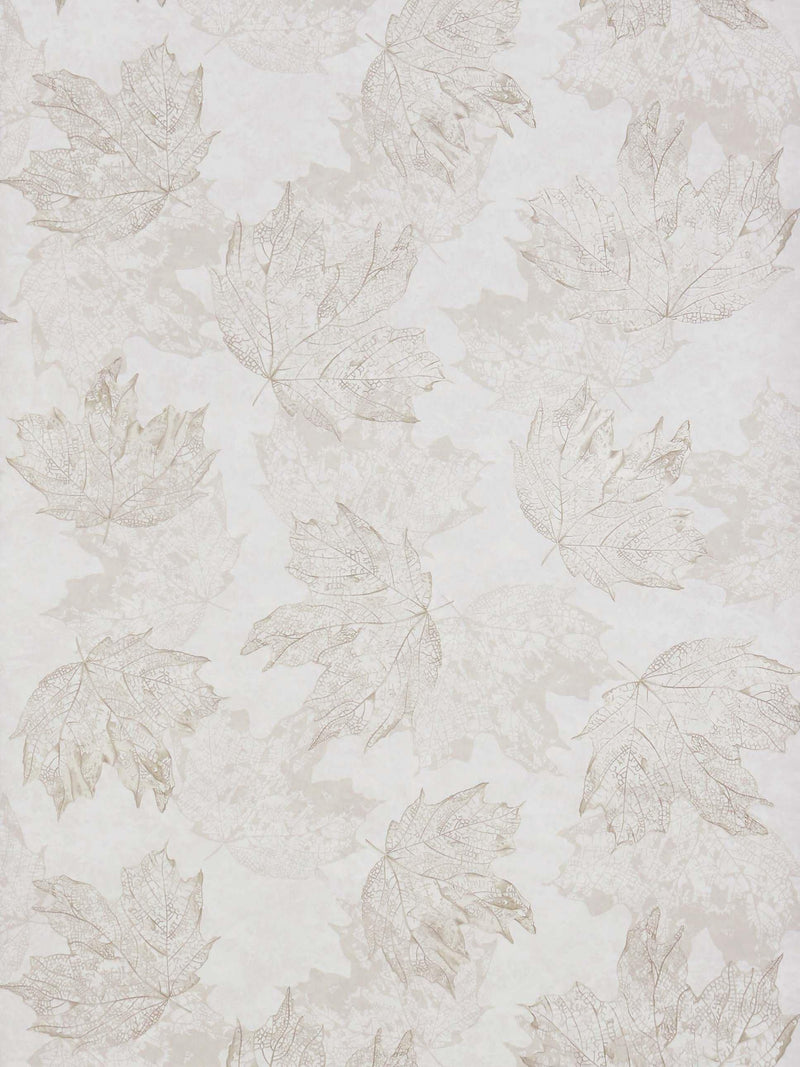 Osborne & Little Sycamore wallpaper 10m x 53cm, UK version