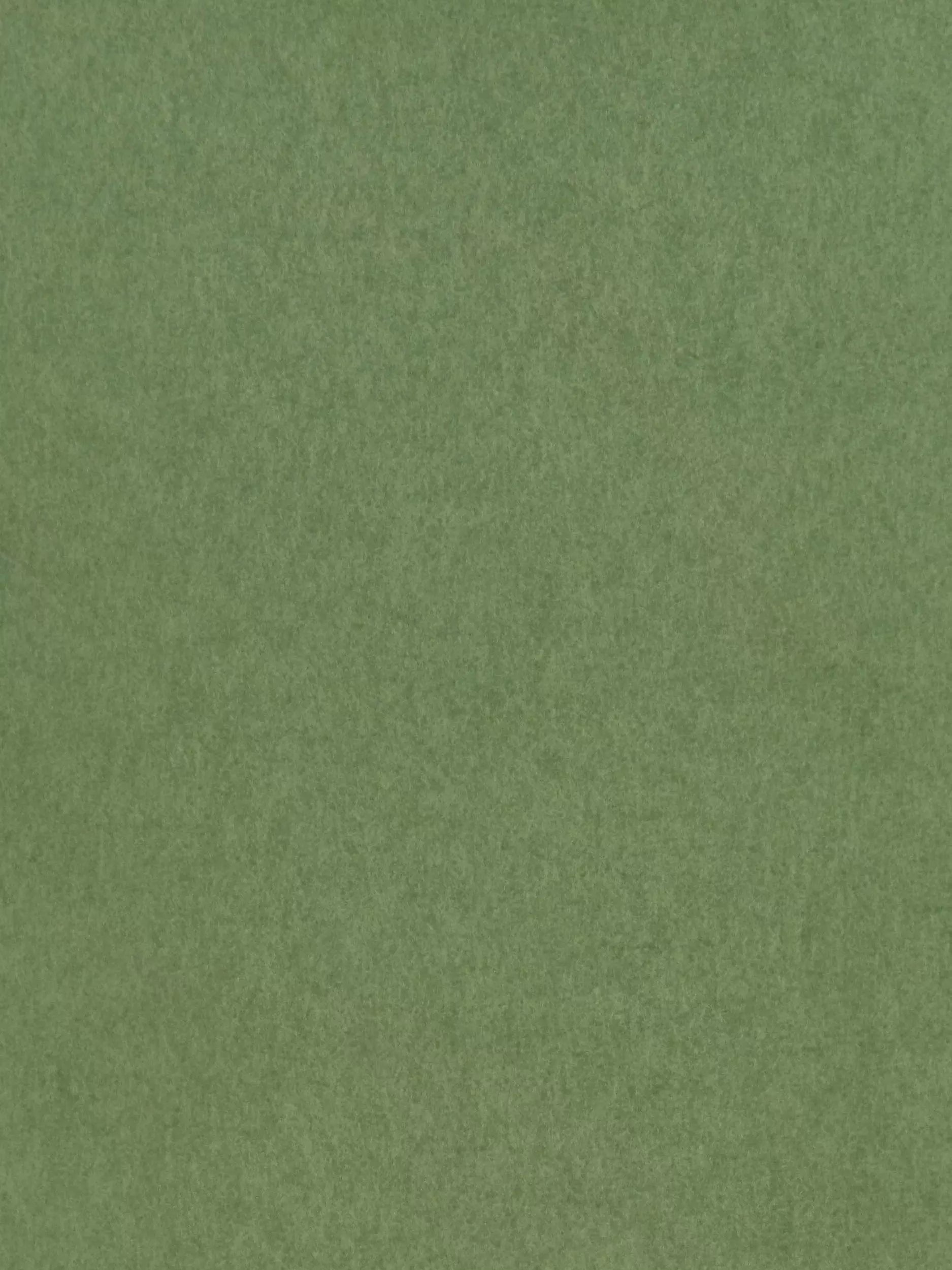 Osborne & Little Chroma Wallpaper 10m x 53cm