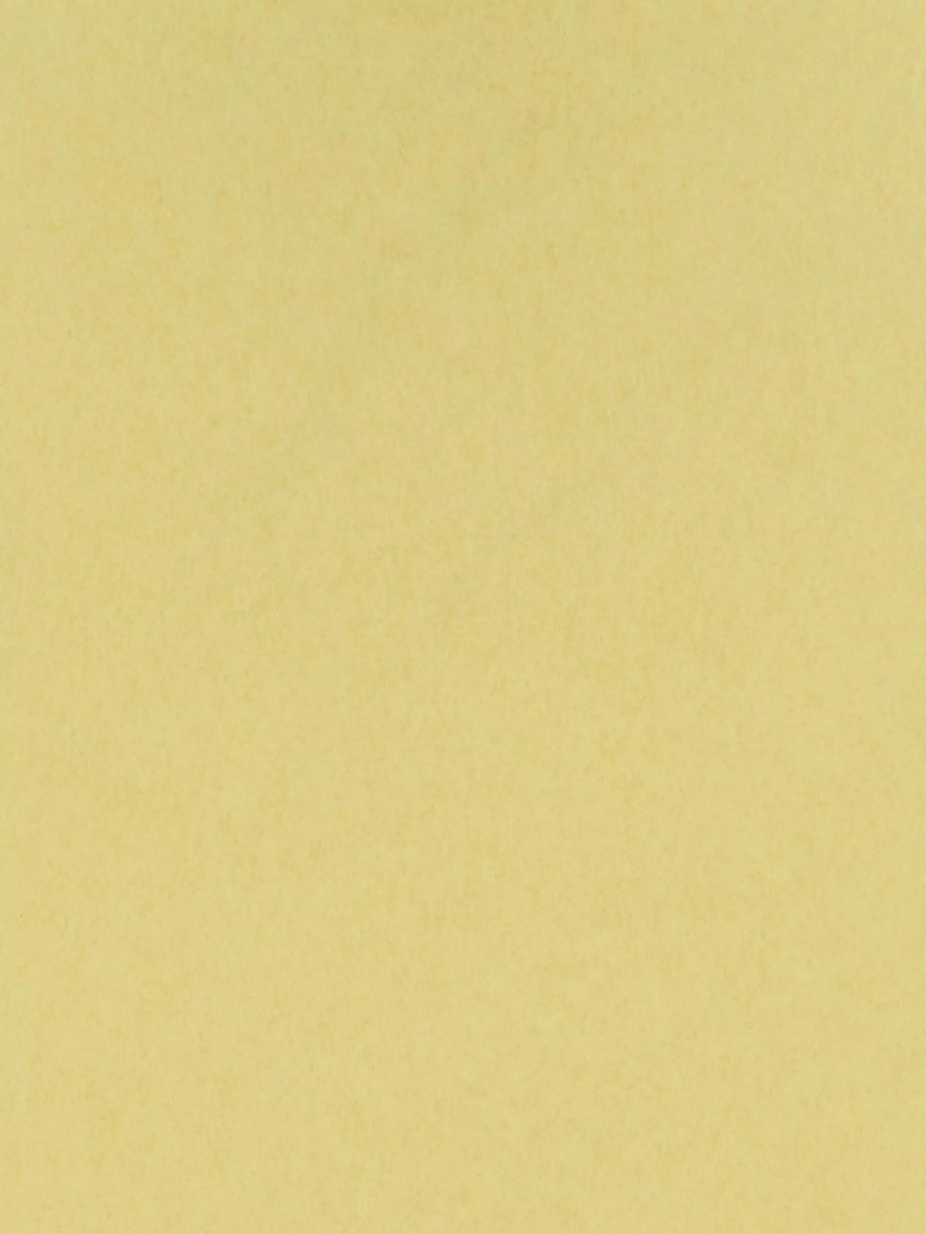 Osborne & Little Chroma Wallpaper 10m x 53cm