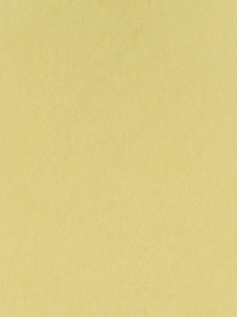 Osborne & Little Chroma Wallpaper 10m x 53cm