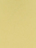 Osborne & Little Chroma Wallpaper 10m x 53cm