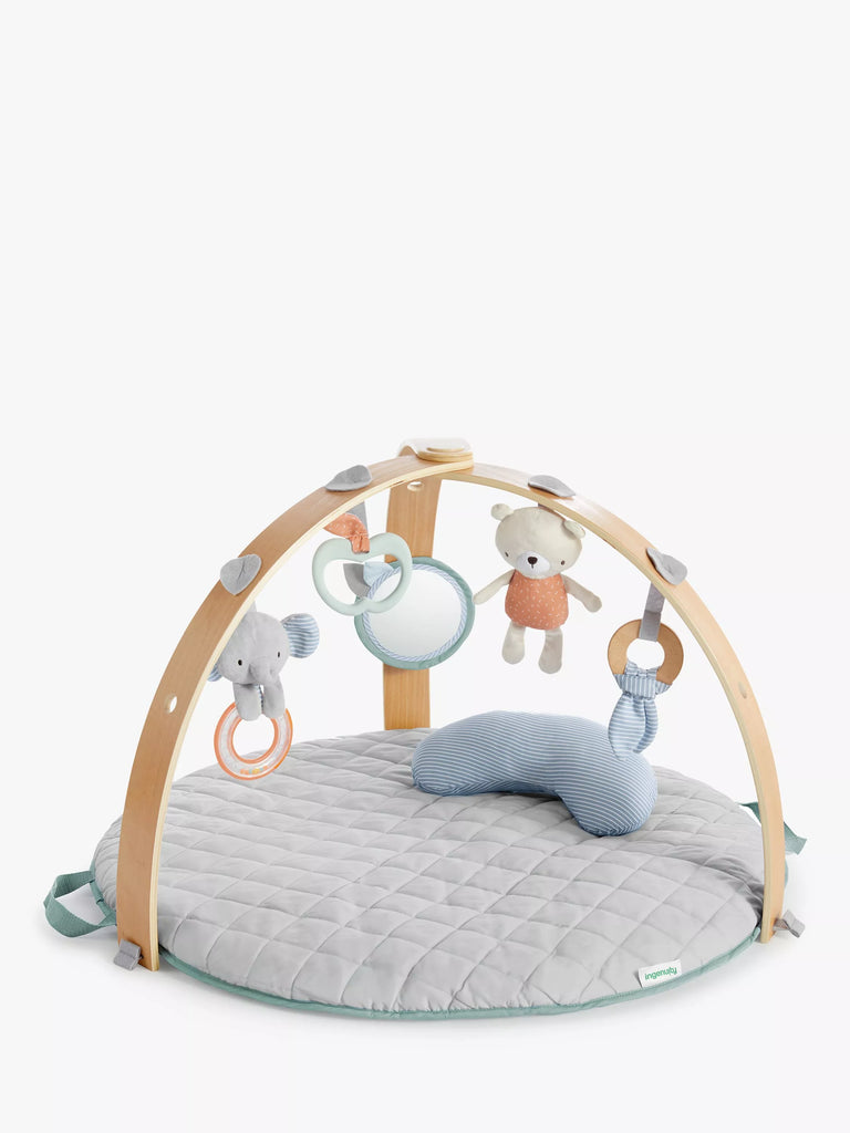 Ingenuity Cozy Spot Reversible Activity Gym