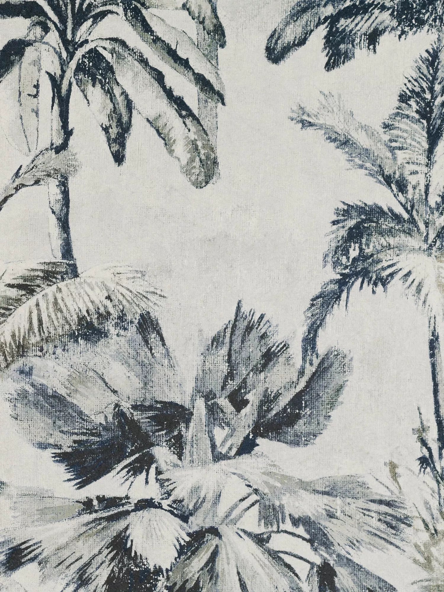 Romo Japura Exotic Tropical Palm Tree Wallpaper 10.05m x 68cm