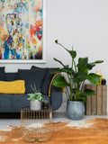 The Little Botanical extra large Strelitzia plant in ceramic pot with concrete finish (British brand)