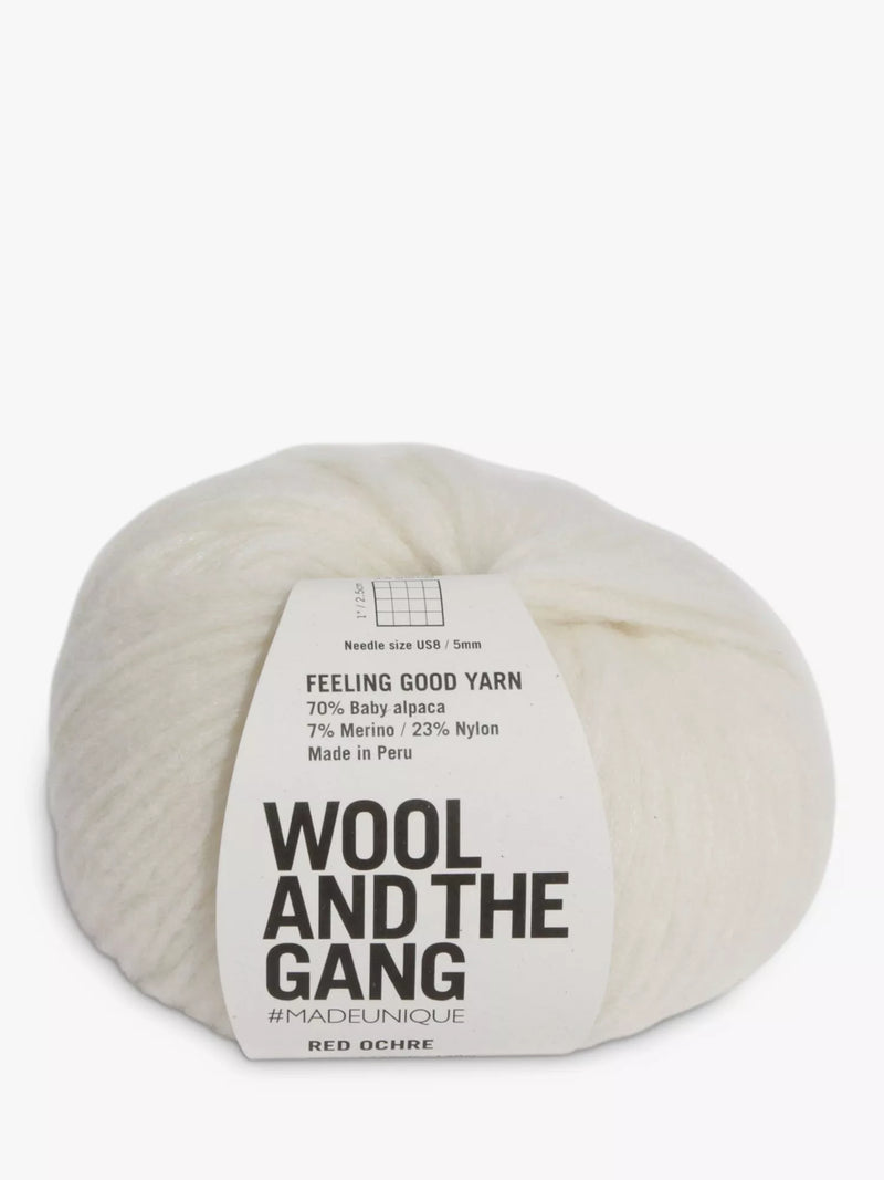Wool And The Gang Feeling Good Aran Yarn 50g (British brand)