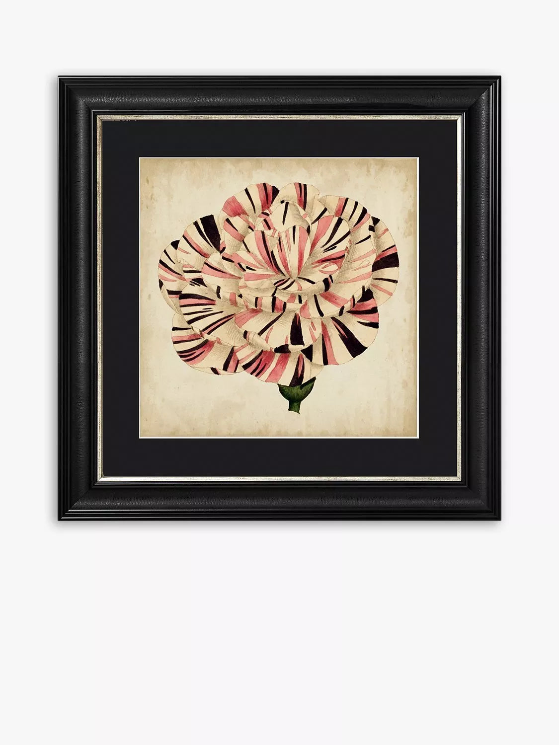 Brookpace Lascelles Pop Floral VI framed print 56cm square - British product