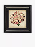 Brookpace Lascelles Pop Floral VI framed print 56cm square - British product