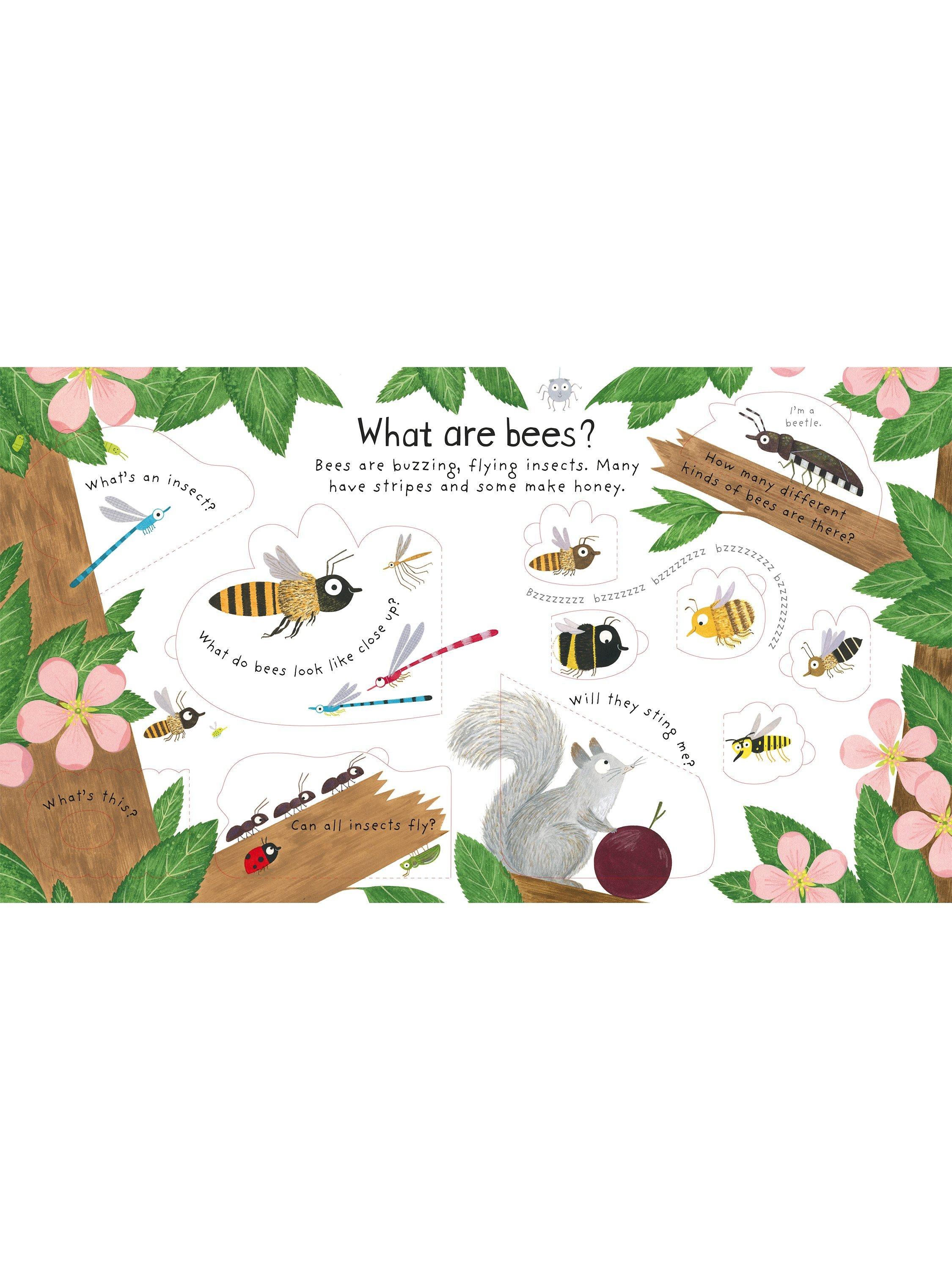 Children's lift-the-flap book about bees (British brand)