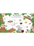Children's lift-the-flap book about bees (British brand)