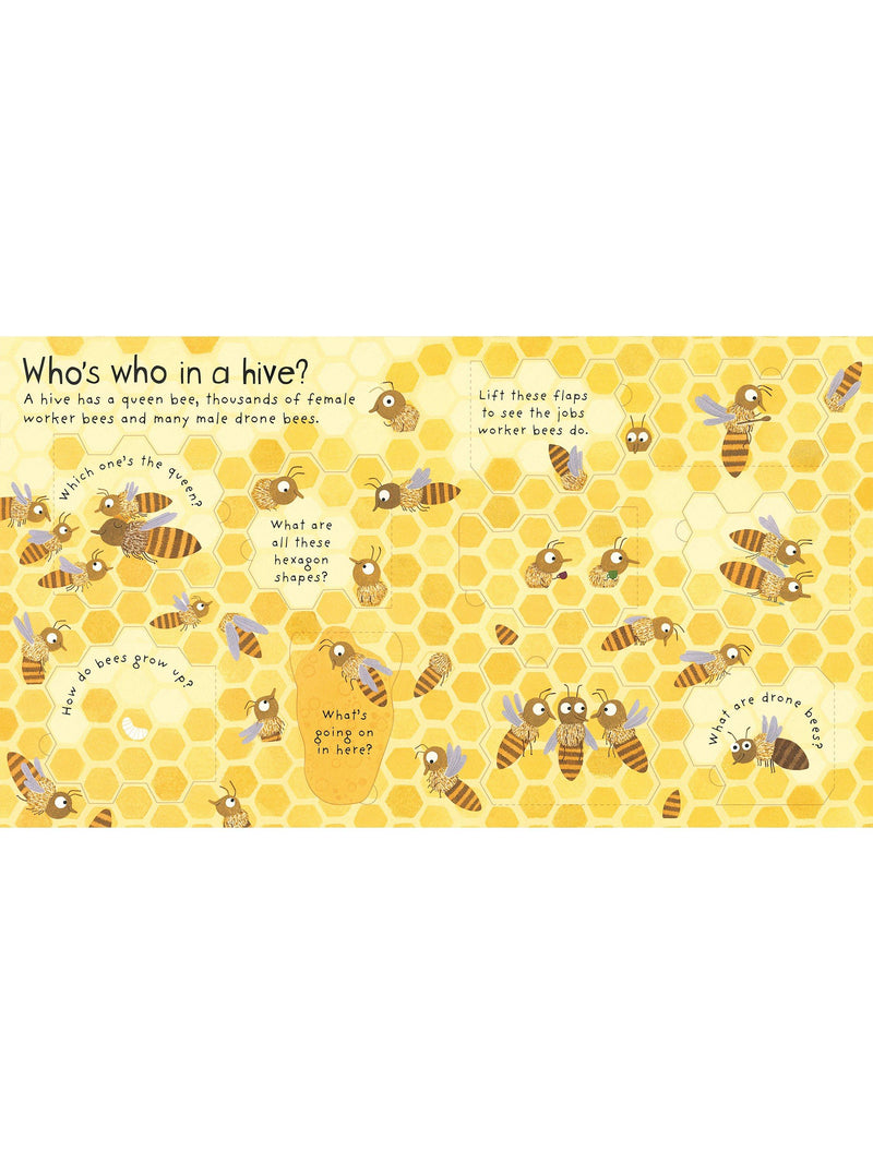 Children's lift-the-flap book about bees (British brand)