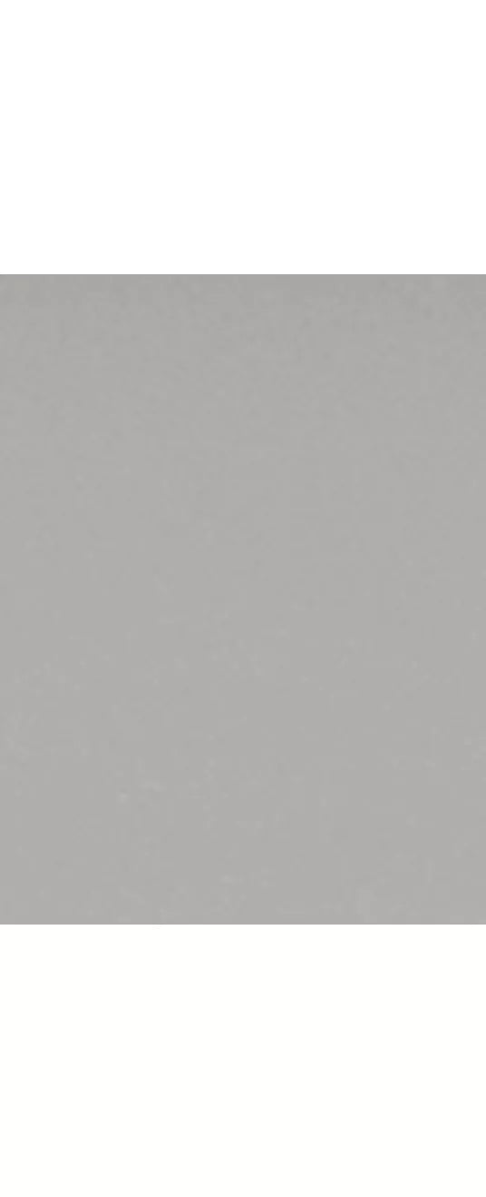 Brabantia Compost Food Waste Caddy, 1.8L