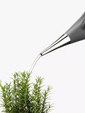 Eva Solo 2 Litre Watering Can for Plants - British product