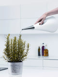 Eva Solo 2 Litre Watering Can for Plants - British product