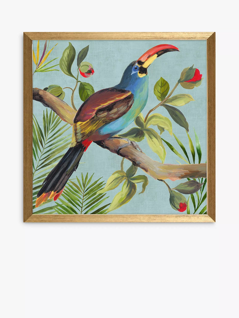 John Lewis framed prints toucan bird set of 2 33x33cm - British product
