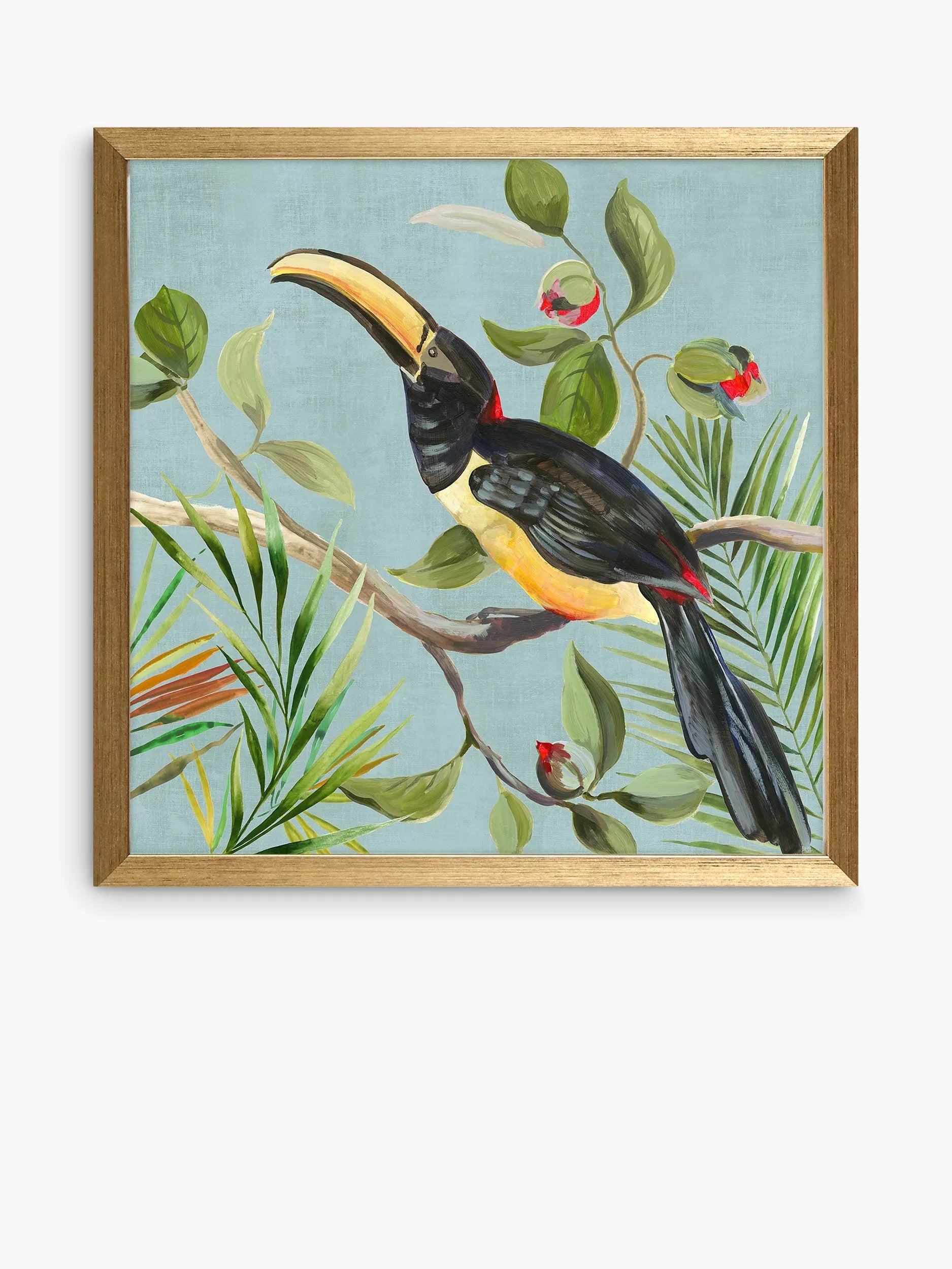 John Lewis framed prints toucan bird set of 2 33x33cm - British product