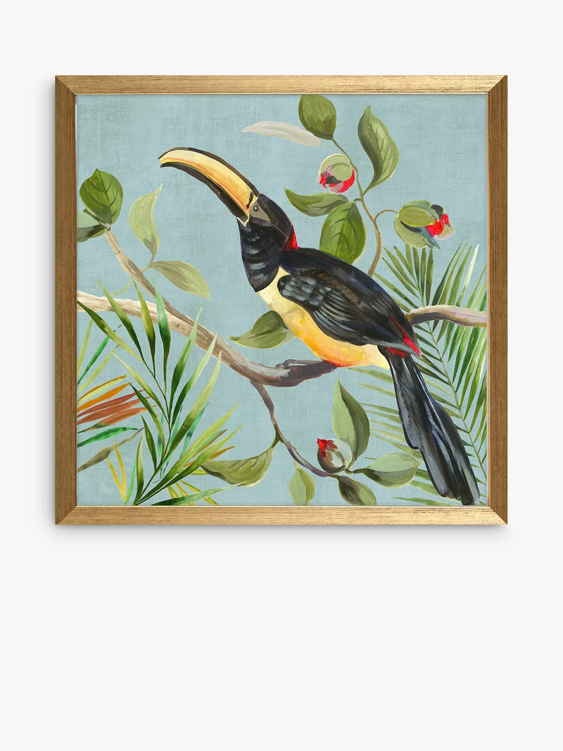John Lewis framed prints toucan bird set of 2 33x33cm - British product
