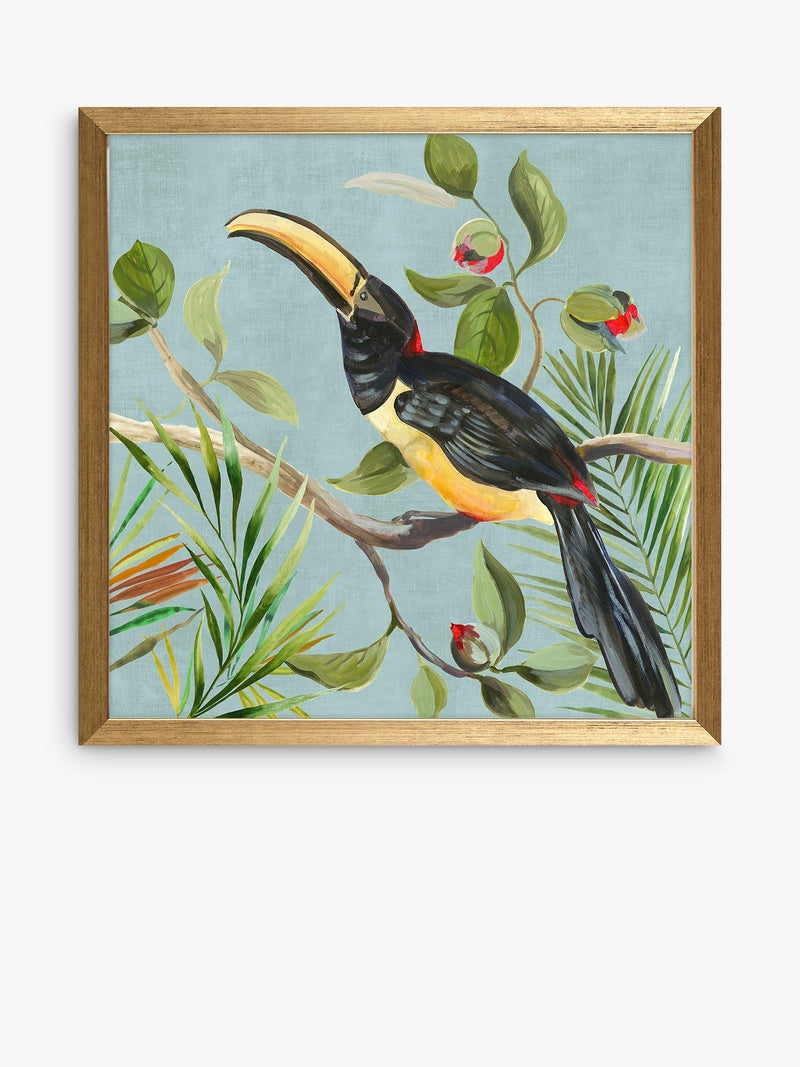 John Lewis framed prints toucan bird set of 2 33x33cm - British product