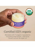 Lansinoh Organic Nipple Balm 60ml, UK version