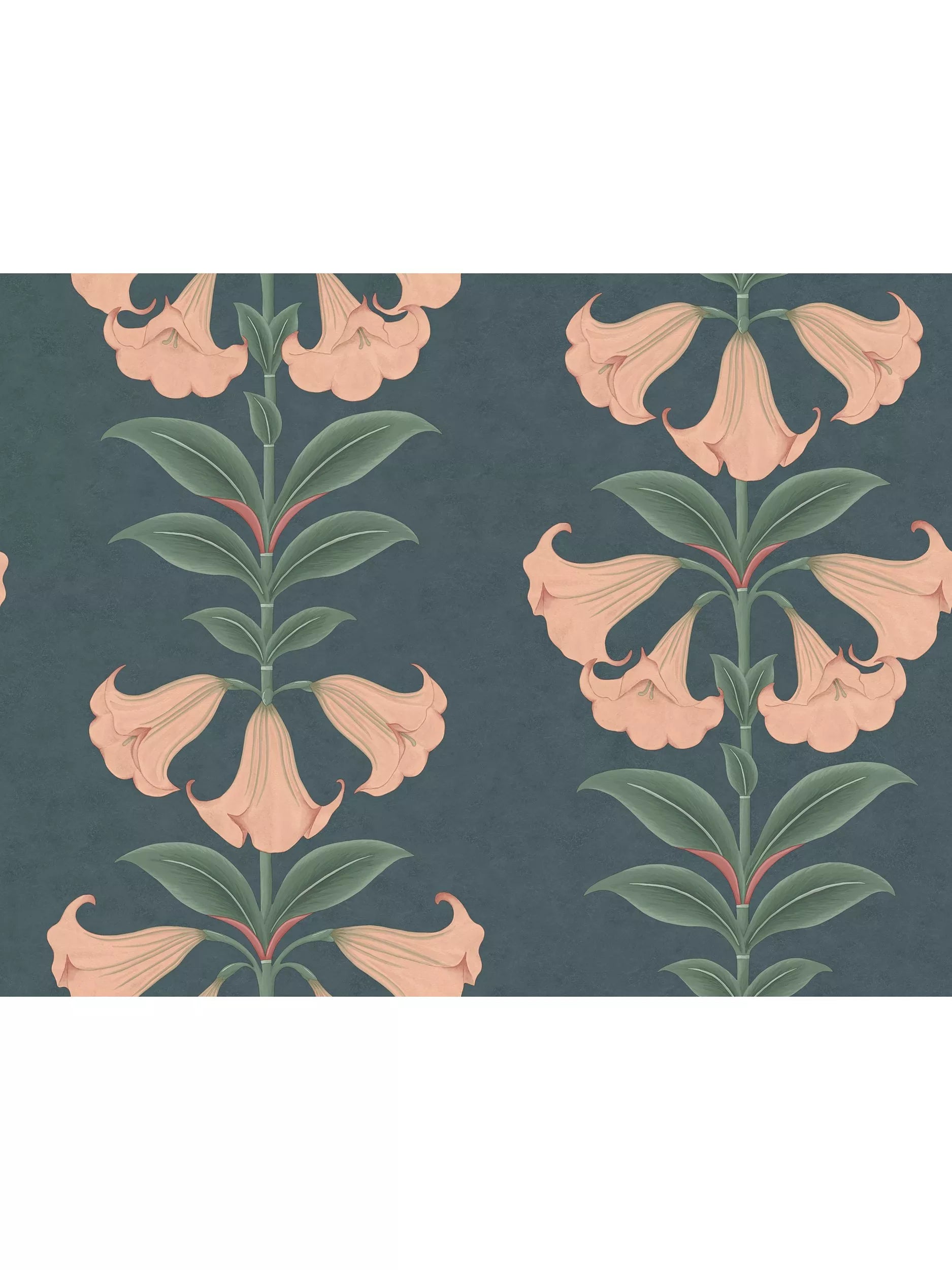 Cole & Son Angel's Trumpet wallpaper 10m x 68.5cm (British brand)