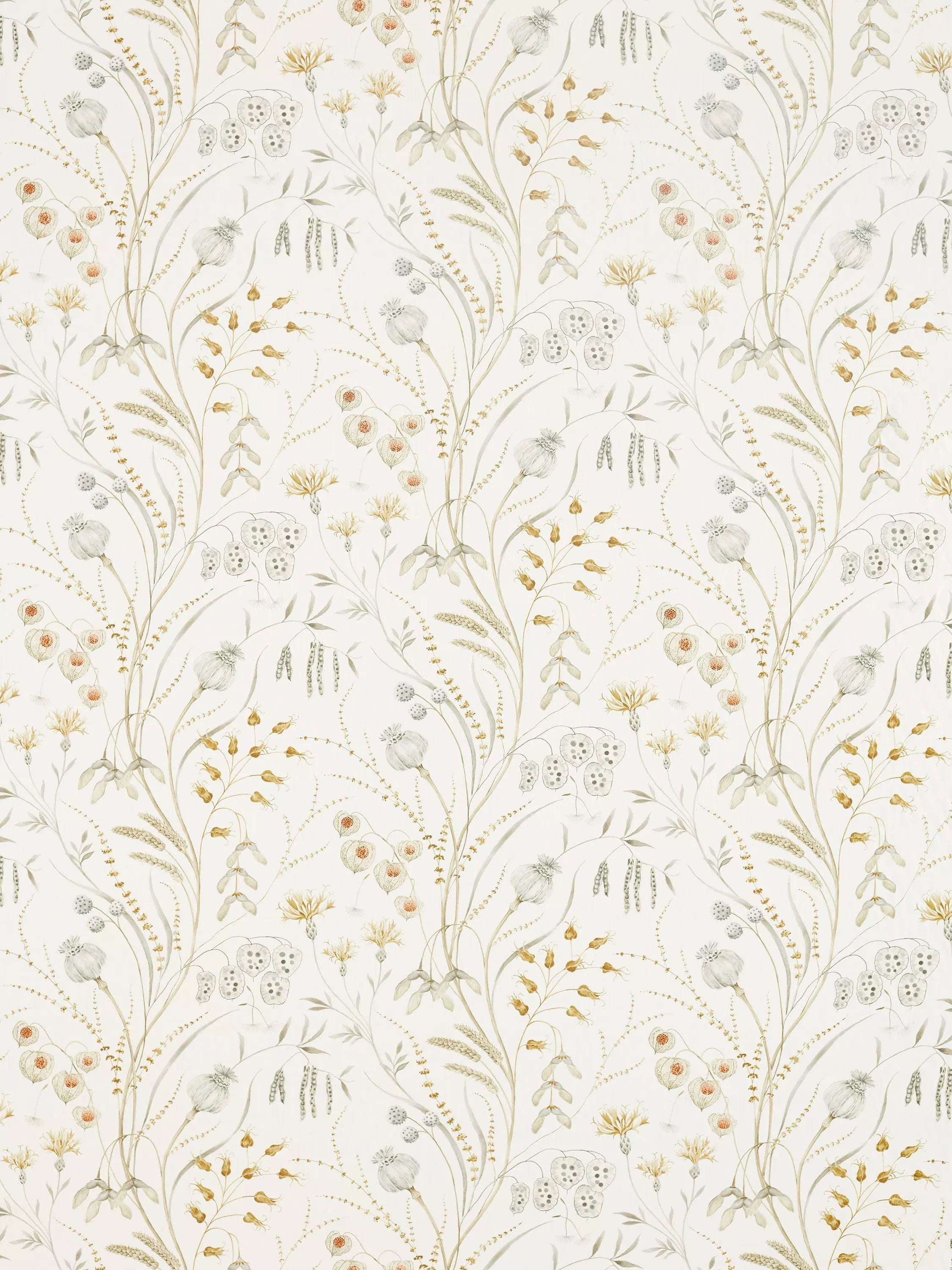 Sanderson Summer Harvest Furnishing Fabric, Silver/Corn