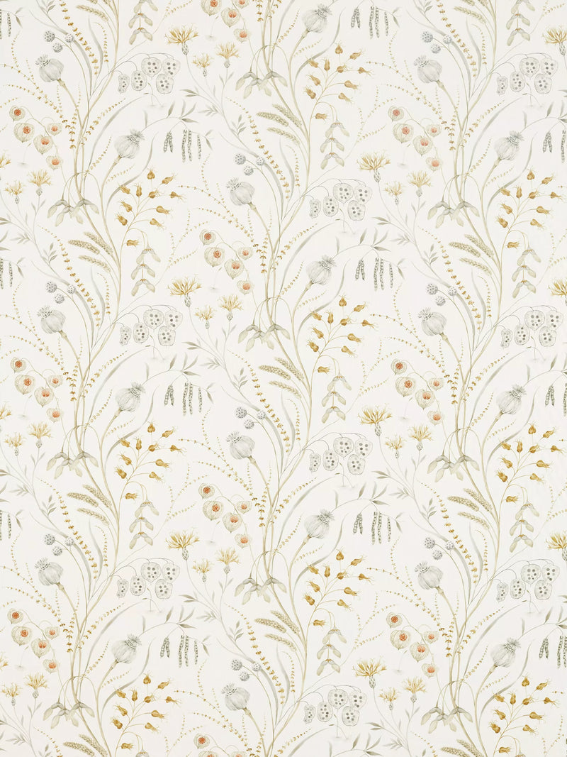 Sanderson Summer Harvest Furnishing Fabric, Silver/Corn