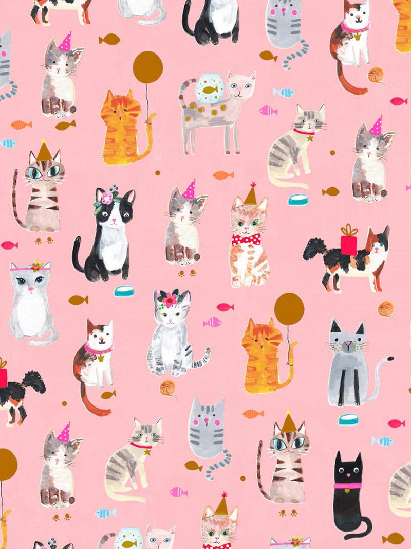 Paper Salad Party Cats Wrapping Paper 4m, imported from the UK