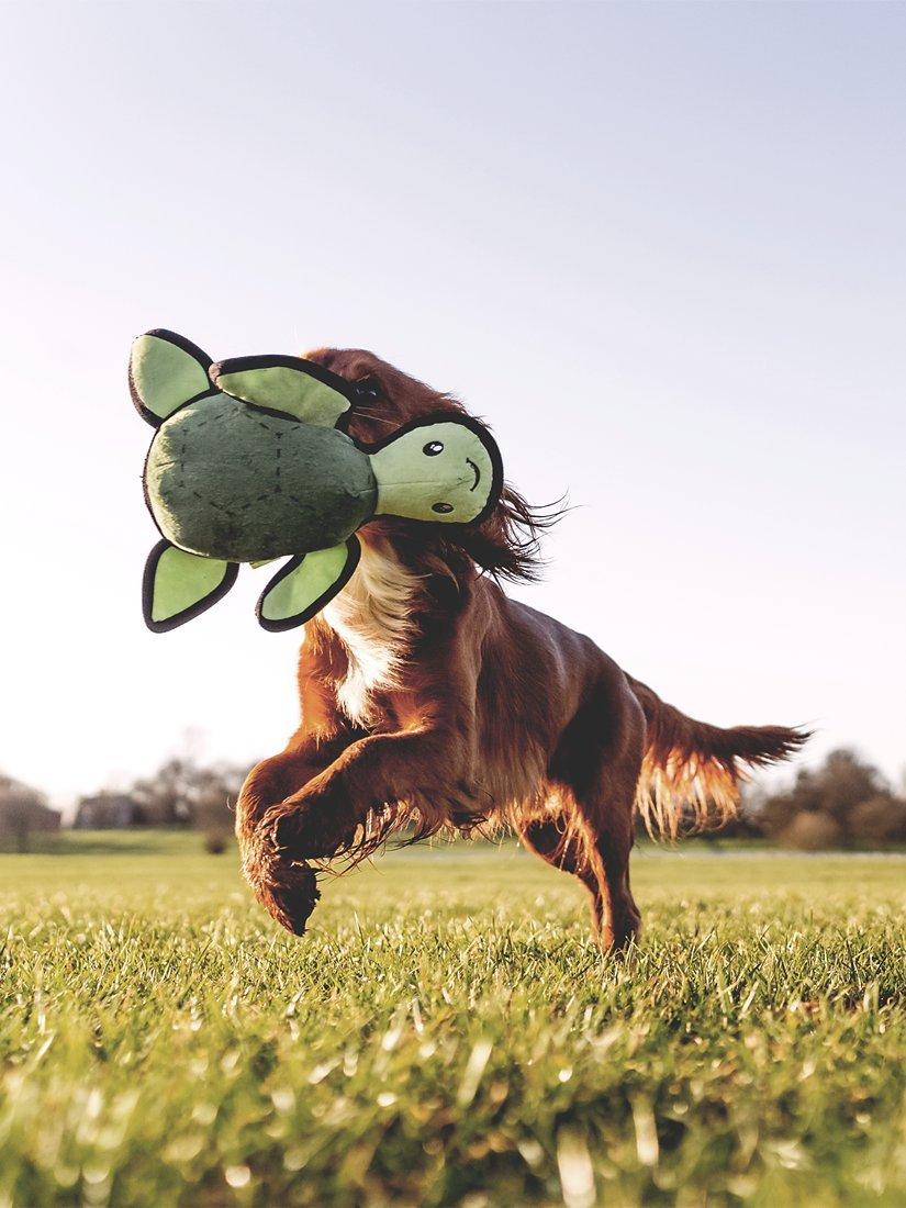 Beco Pets Rough & Tough Turtle dog toy medium, imported from the UK