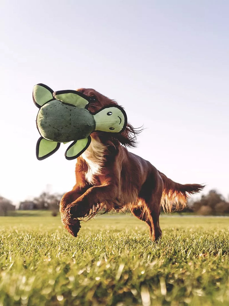 Beco Pets Rough & Tough Turtle dog toy medium, imported from the UK
