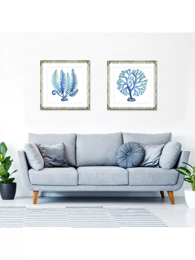 Brookpace Lascelles blue seaweed framed print 46x46cm, imported from the UK