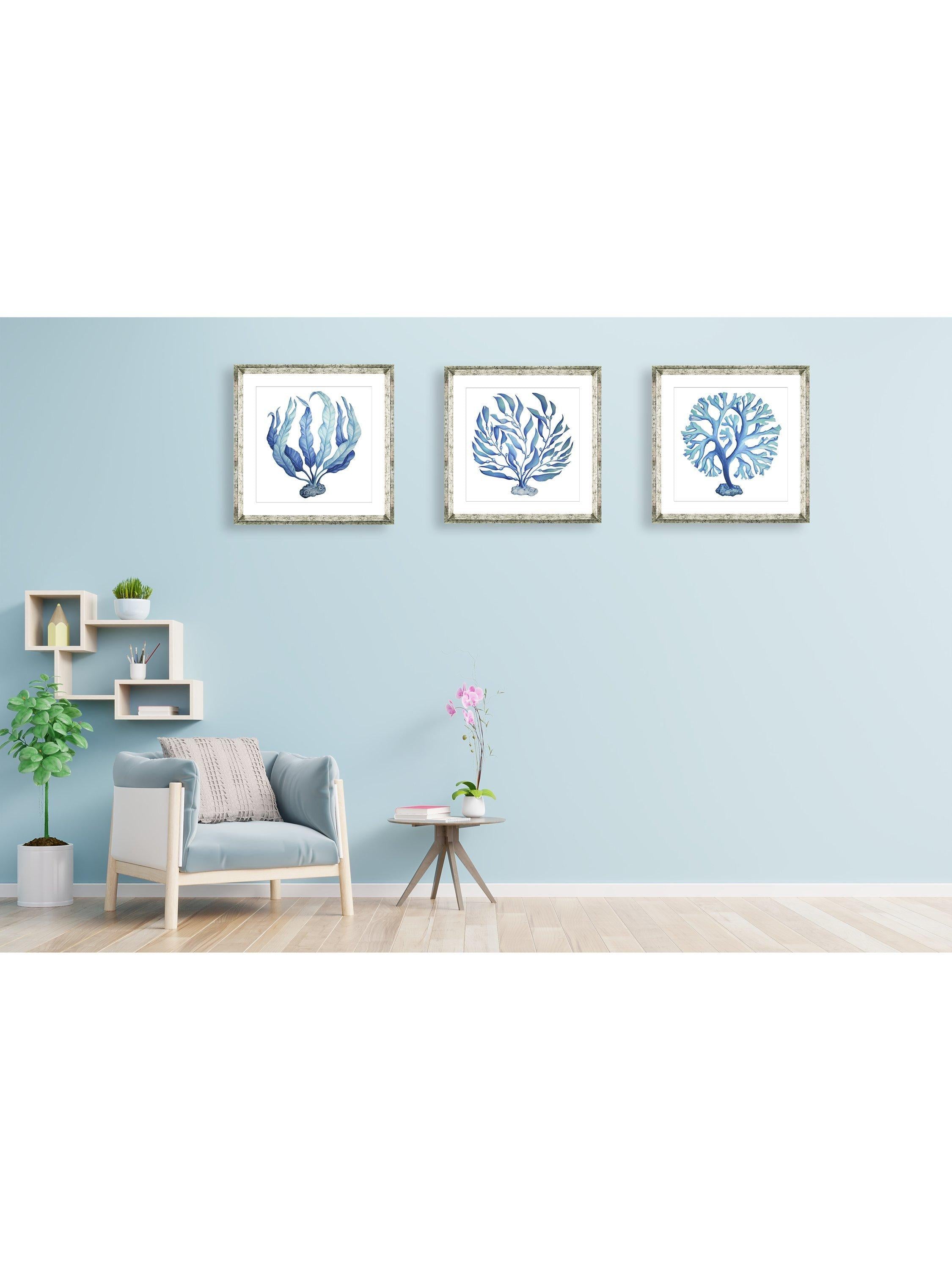 Brookpace Lascelles framed print Blue Seaweed 2 46x46cm (British brand)