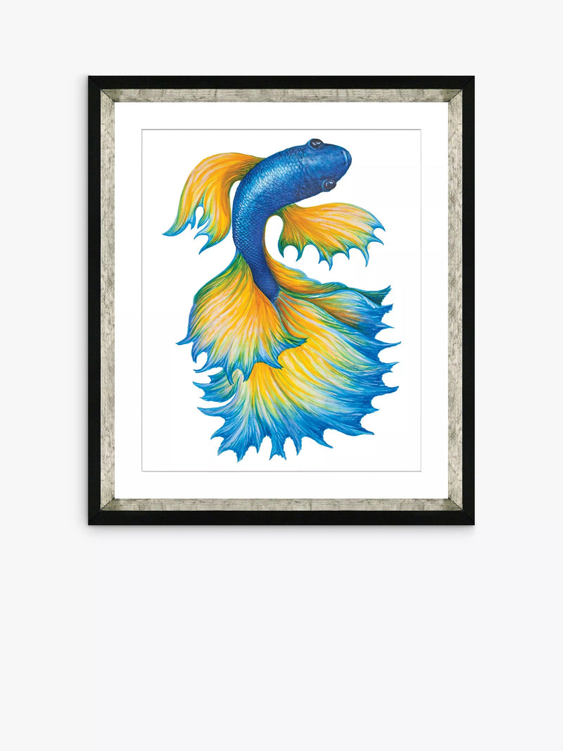 Brookpace Lascelles Fancy Fish framed print orange blue 56x46cm - British product