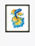 Brookpace Lascelles Fancy Fish framed print orange blue 56x46cm - British product