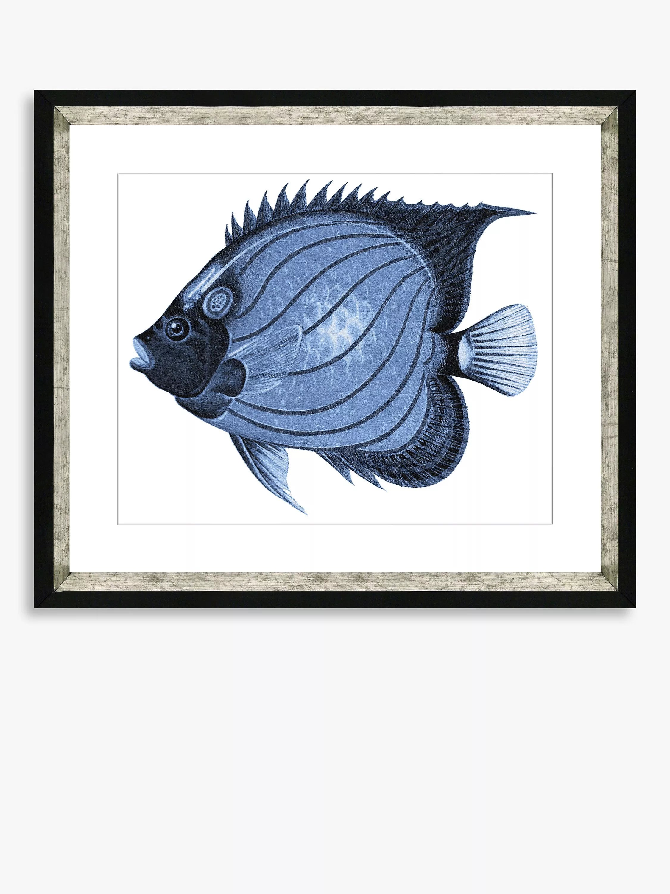 Brookpace Lascelles framed fish print Blue Fish 1 36x46cm, imported from the UK