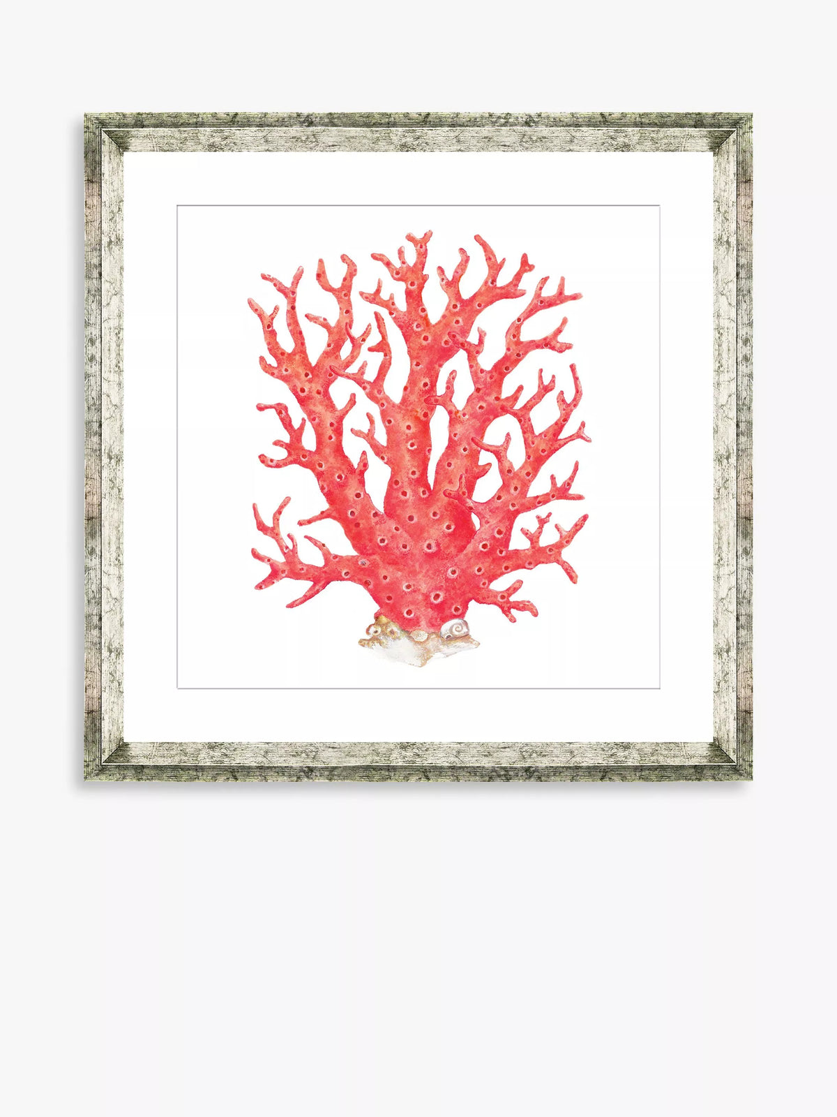 Brookpace Lascelles red coral 9 framed print 46x46cm - British product
