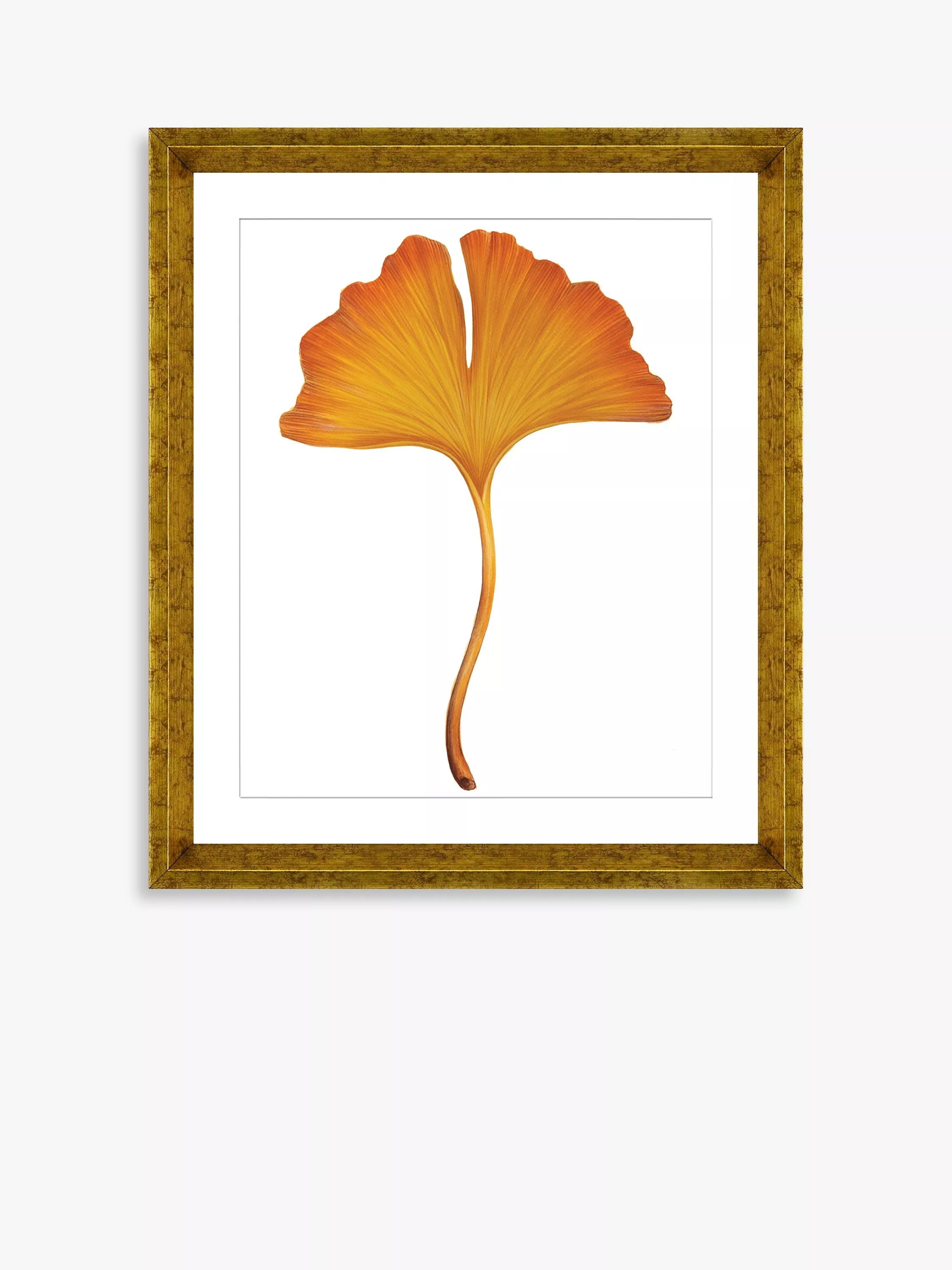 Brookpace Lascelles Ginkgo Leaf framed print 56x46cm orange - British product