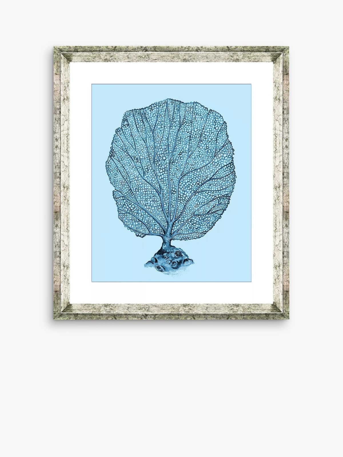 Brookpace Lascelles blue coral framed print 46x36cm, imported from the UK