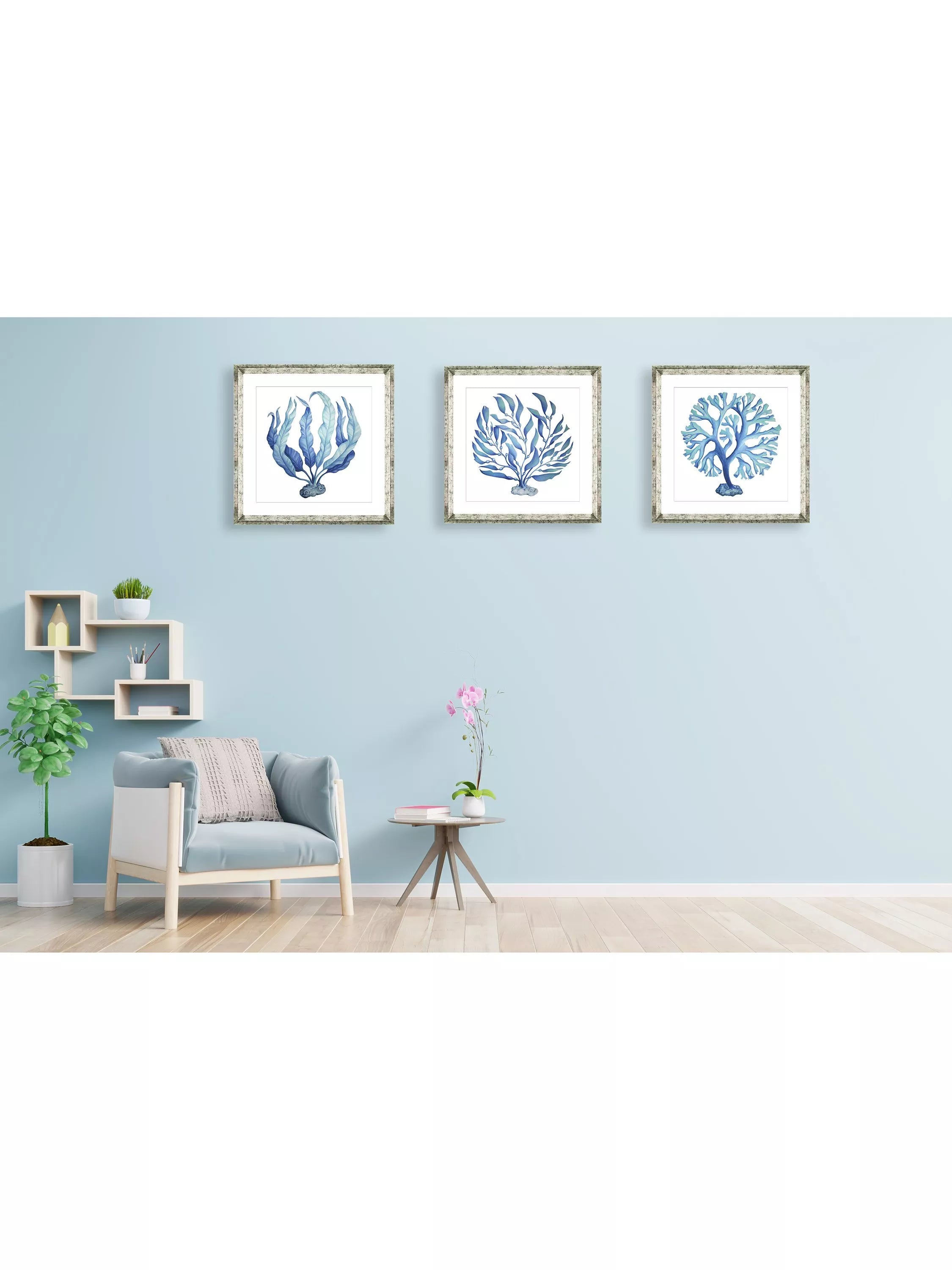 Brookpace Lascelles framed print blue seaweed 46 x 46 cm - British product