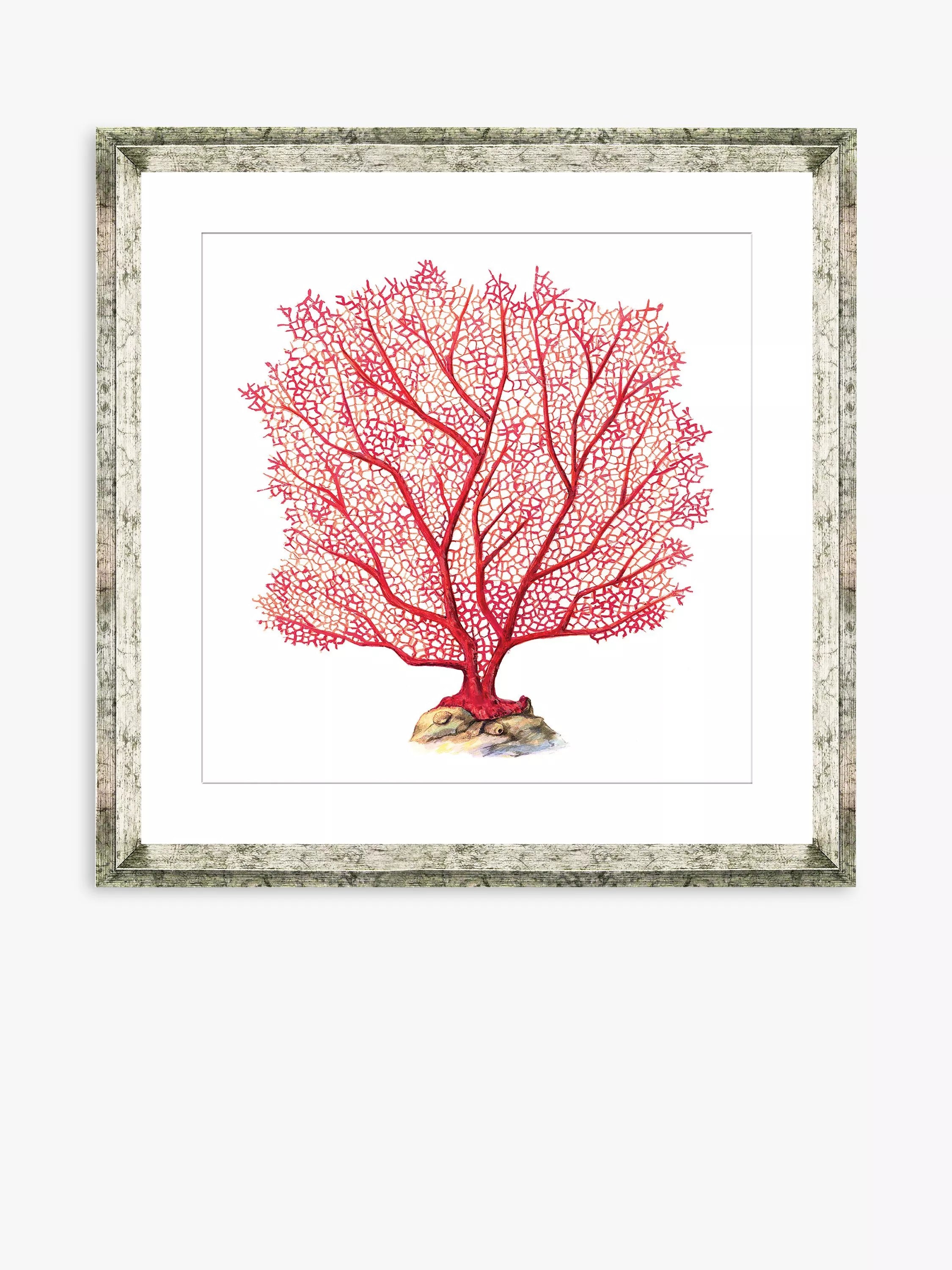 Brookpace Lascelles red coral framed print 46x46cm, UK version