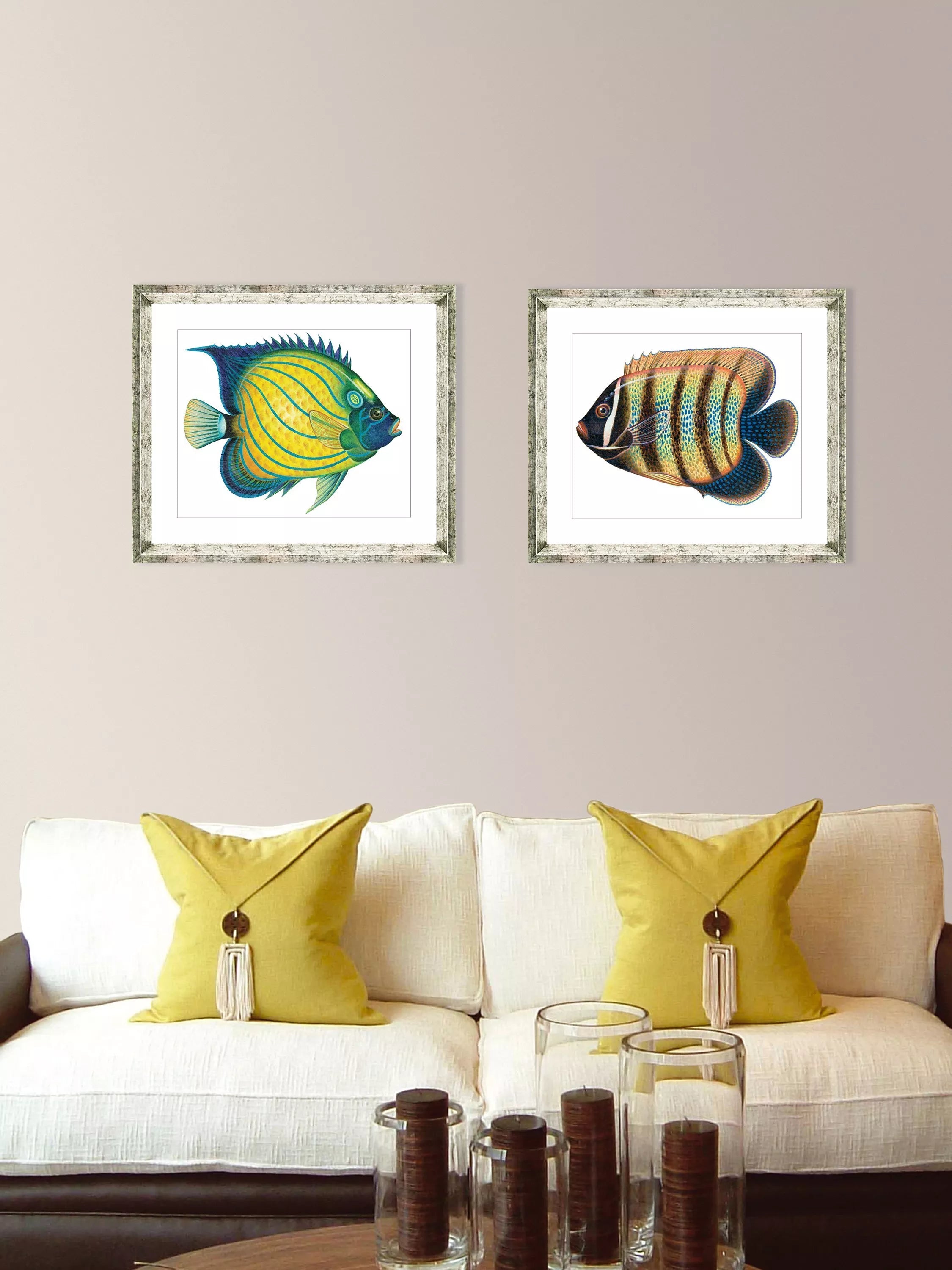 Brookpace Lascelles framed print Tropical Fish 4 36x46cm (British brand)