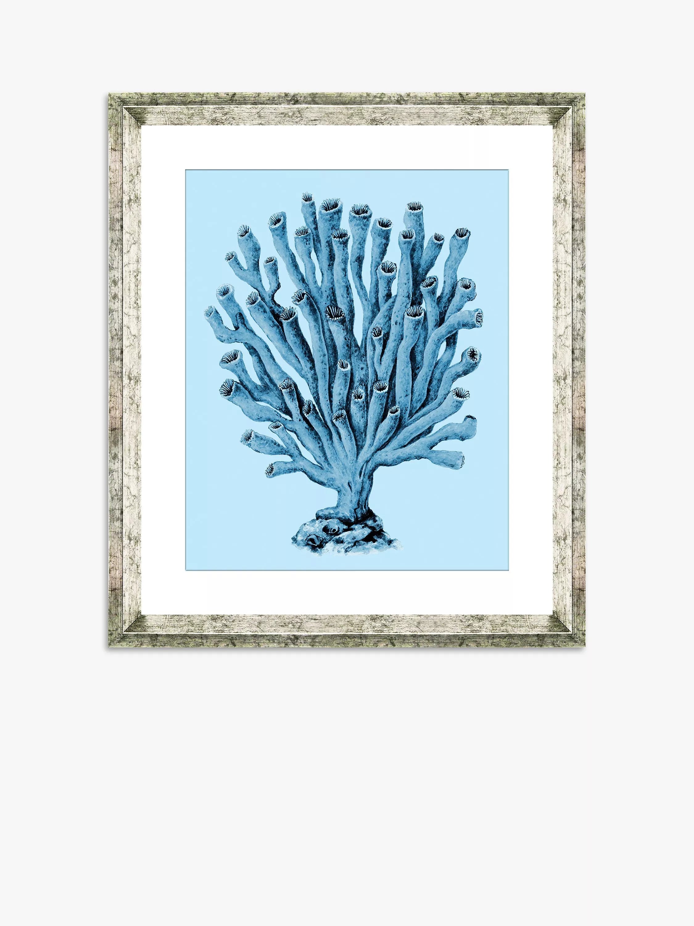 Brookpace Lascelles Blue Coral 2 framed print 46x36cm, imported from the UK