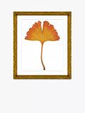 Brookpace Lascelles framed ginkgo leaf print orange 56x46cm (British brand)