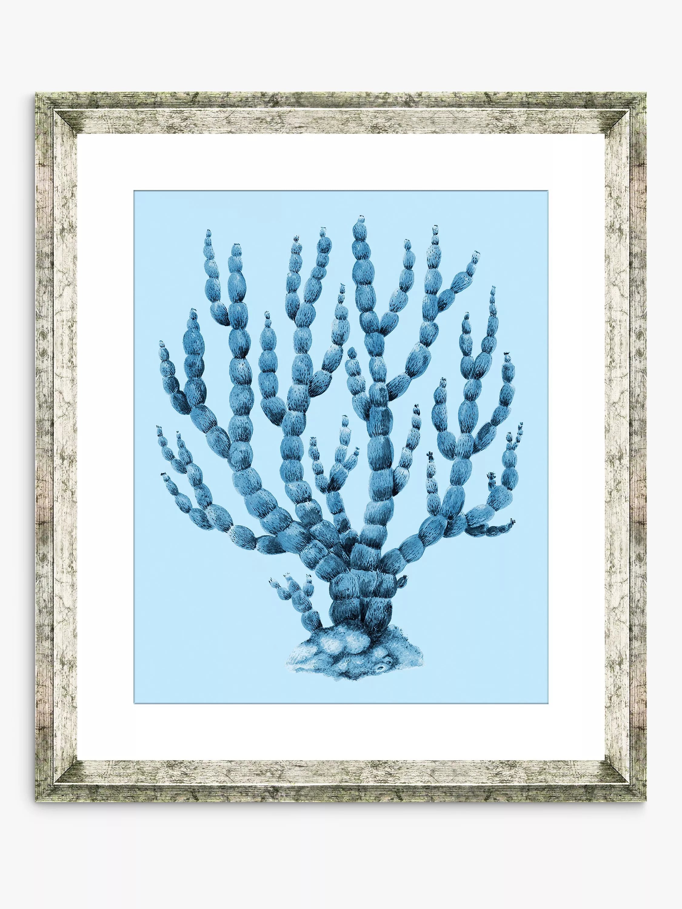 Brookpace Lascelles blue coral framed print 46x36cm (British brand)