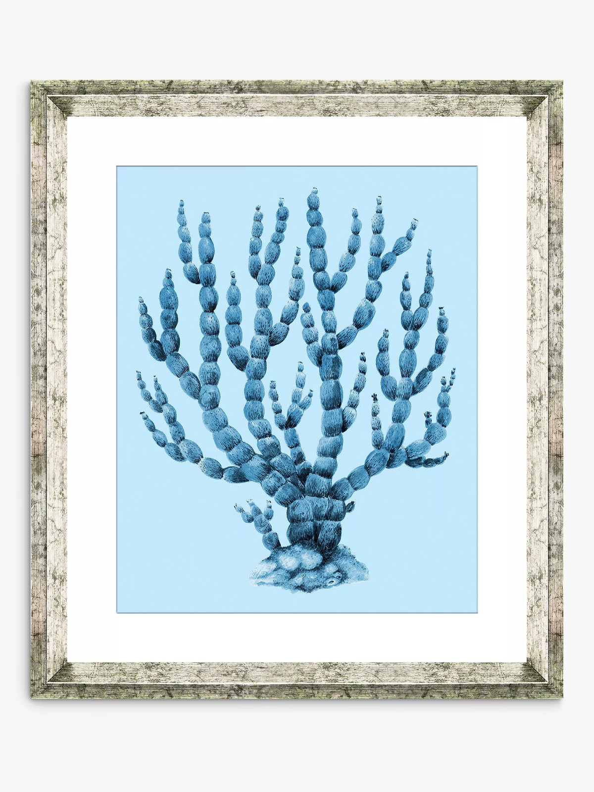 Brookpace Lascelles blue coral framed print 46x36cm (British brand)