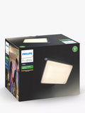 Philips Hue floodlight black, UK version