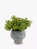 John Lewis Artificial Eucalyptus Bush in Stone Planter