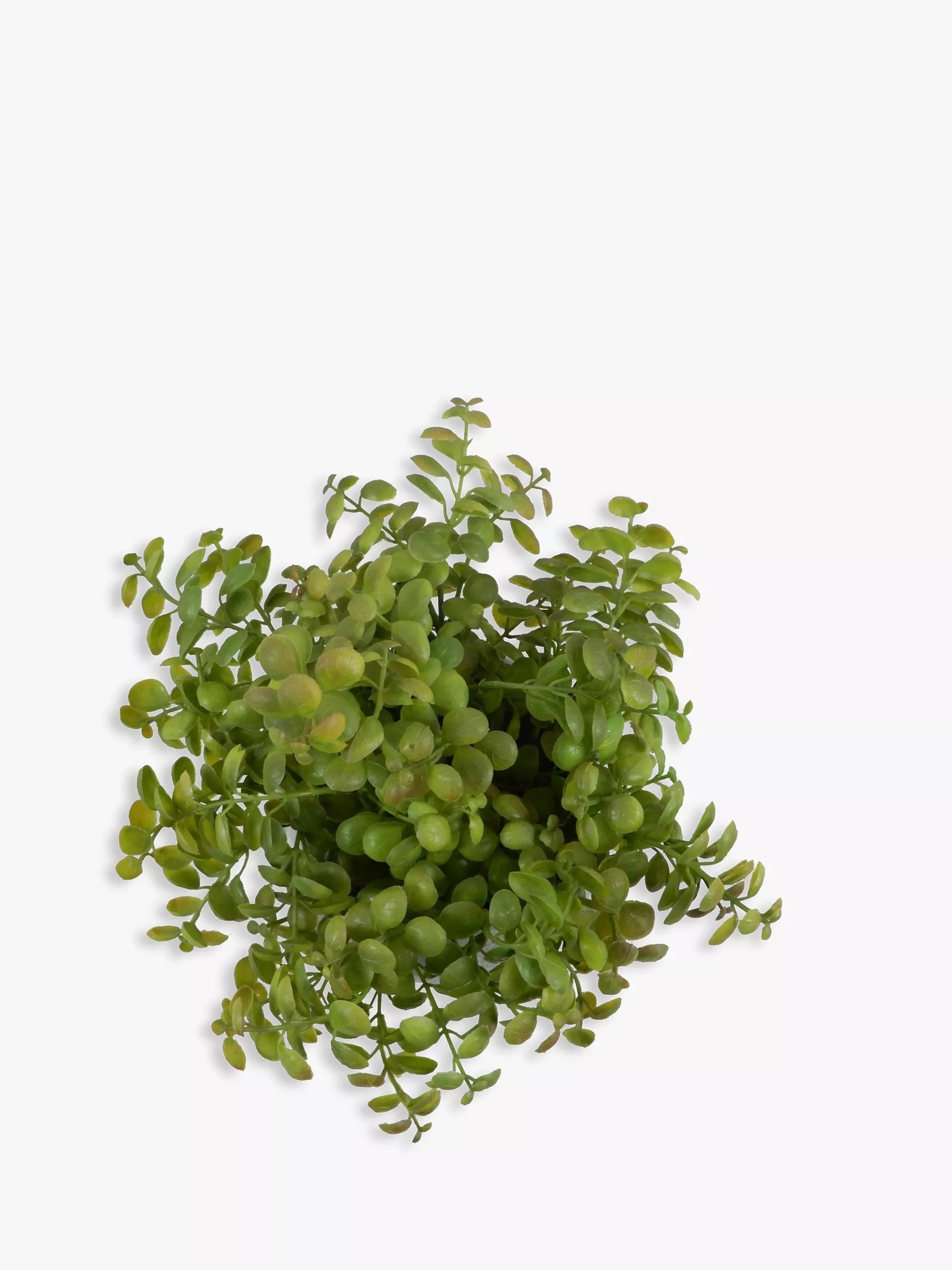 John Lewis artificial eucalyptus bush in stone planter, UK version