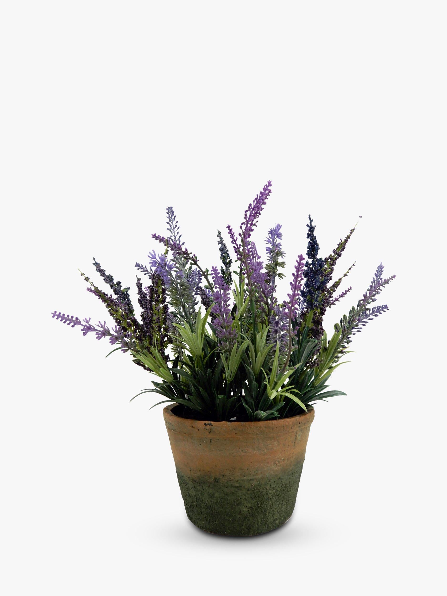 John Lewis artificial lavender cement planter, UK version