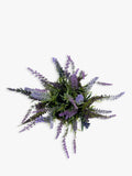John Lewis artificial lavender cement planter, UK version