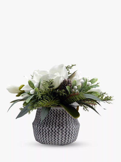 John Lewis Magnolia et pomme de pin artificiels dans une jardinière en ciment texturé - Acheter en ligne sur McGrocer